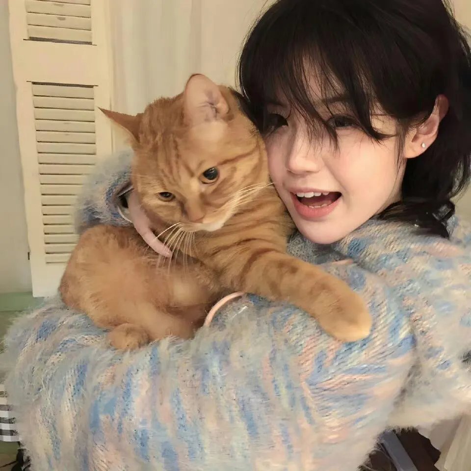 新妹魔王的契约者第二季